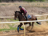 EL080425-6 - Emma Lavelle Stable Visit